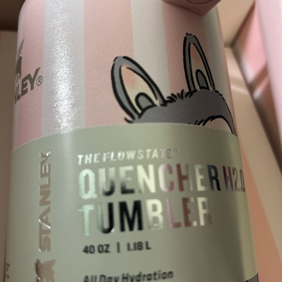 Labubu Stanley Pink Gift Box New Style - Picture 6 of 10